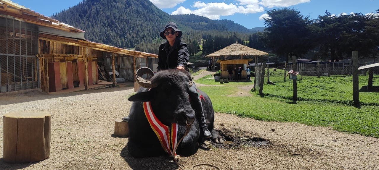 Banner de llaqta wasi tours